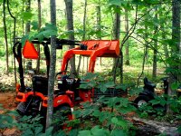 KUBOTA WOODS 046.JPG