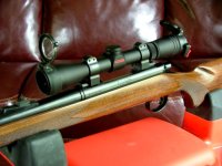 Scope & stock.JPG