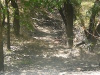 Hot Weekend 067.jpg