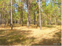 Cesum Farm Pines.png