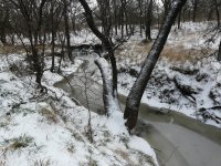 snow and ice 024.jpg