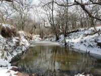 snow and ice 028.jpg