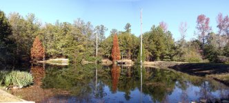 Cypress pan trim crop.jpg