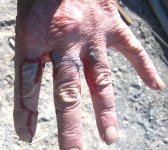 hand.jpg