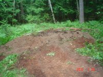 BackFence 008.jpg