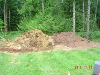 BackFence 013.jpg