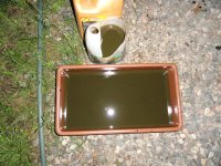 DSC00299 (Medium).JPG