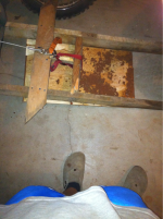 image-872167115.png