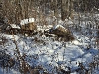 IMG_3316.jpeg