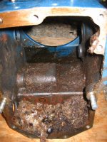 IMG_3745 (Medium).JPG