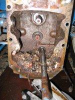 IMG_3757 (Medium).JPG
