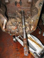 IMG_3758 (Medium).JPG