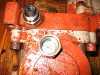 IMG_3762 (Medium).JPG