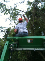 image-1784781287.png