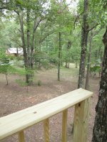 TreeHouse2.jpg
