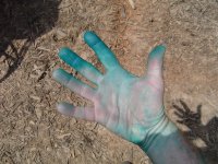Spraying Roundup .jpg