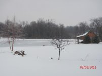 Picture 007.jpg