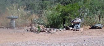birdbath2-0.jpg