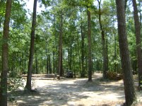 Land 6.10.11 006.jpg