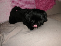 image-1407105178.png
