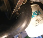 B2320 37.0 Belt.jpg