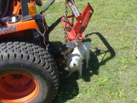 Chained up to transport to field.JPG