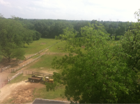 image-635811690.png