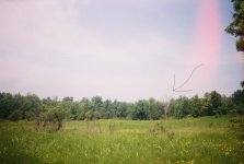 0318430-R1-000-XA.jpg