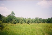 0318430-R1-042-19A.jpg