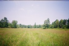 0318430-R1-050-23A.jpg