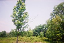 0318430-R1-004-0A.jpg