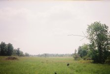 0318430-R1-034-15A.jpg