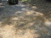 IMG_1794.JPG