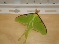DSC01082.jpg
