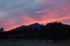 DSC_2728.jpg