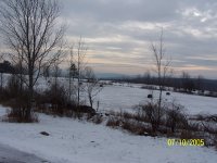000_0124.JPG