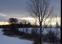 winterpics.jpg