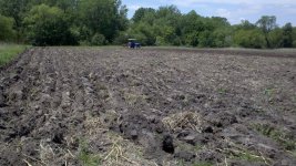 Top Field.jpg