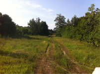 image-1662416264.png