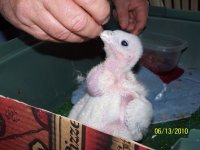 000_0650.jpg