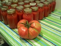 8.19.11 download 041.jpg