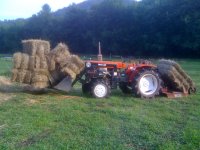hay2011 008.jpg