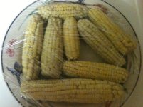 IMG_0567.jpg