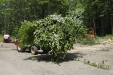 Grapple0002.jpg