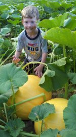 garret and big pumpkins.jpg