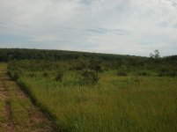 mowing 002.jpg
