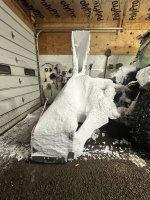 IMG_2085.jpeg