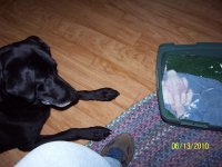 000_0652.jpg