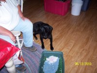 000_0653.jpg