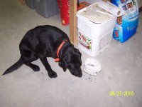 000_0662.jpg